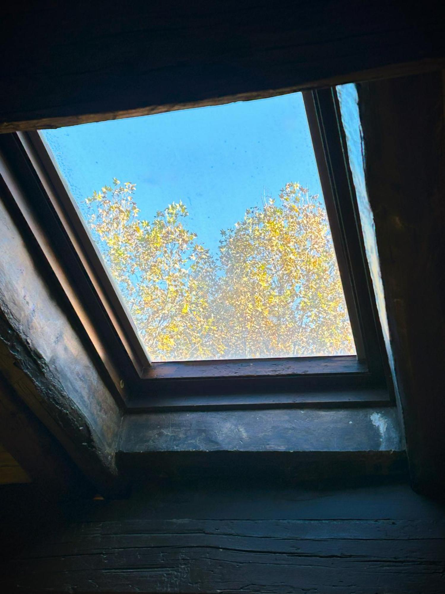 Apartment The Gem - Trastevere Cozy Retreat With Pool *